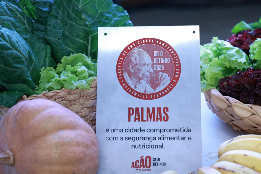 Araguaína é premiada com Selo Ouro de Alfabetização pelo segundo ano consecutivo araguaina-e-premiada-com selo-ouro-de alfabetizacao-pelo-segundo-ano-consecutivo