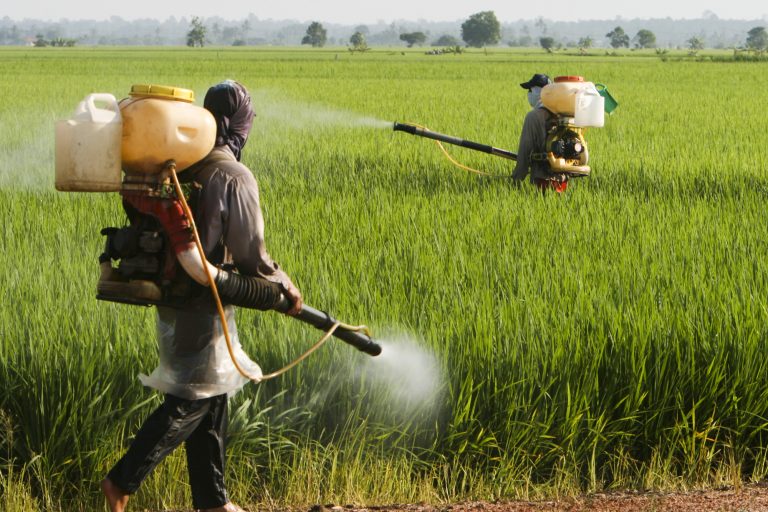 Comissão debate efeitos dos herbicidas hormonais sobre a saúde e a biodiversidade comissao-debate-efeitos-dos-herbicidas-hormonais-sobre-a-saude-e-a-biodiversidade