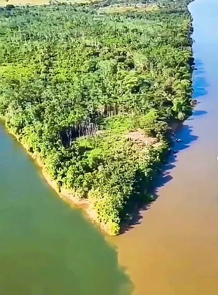 Seca avança e coloca rios Tocantins e Araguaia em situação crítica, aponta monitoramento seca-avanca-e-coloca-rios-tocantins-e-araguaia-em-situacao-critica,-aponta-monitoramento