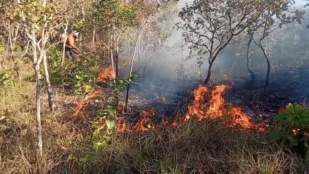Com 20 incêndios na semana, Defesa Civil impede que fogo atinja casas em Taquaruçu com-20-incendios-na-semana,-defesa-civil-impede-que-fogo-atinja-casas-em-taquarucu